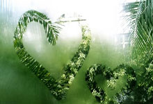 天涯社区会计板块趣谈