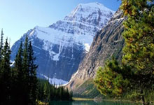 天涯论坛最惊人的十大神贴